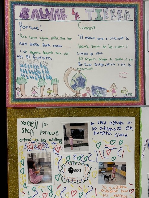 1st Grade IB Project